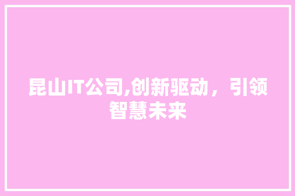 昆山IT公司,创新驱动，引领智慧未来