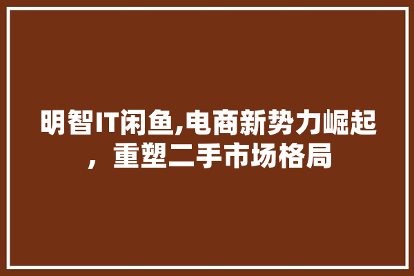 明智IT闲鱼,电商新势力崛起，重塑二手市场格局 智能问答