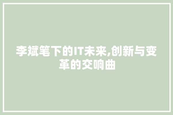 李斌笔下的IT未来,创新与变革的交响曲