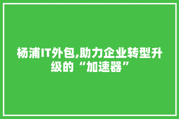 杨浦IT外包,助力企业转型升级的“加速器” 文字写作