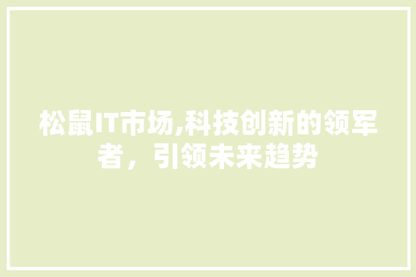 松鼠IT市场,科技创新的领军者，引领未来趋势