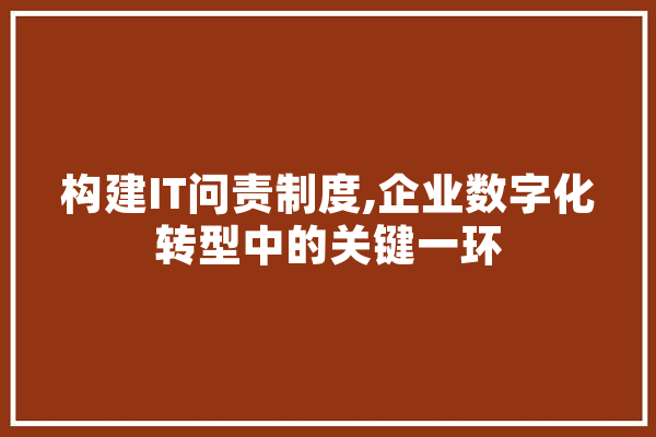 构建IT问责制度,企业数字化转型中的关键一环