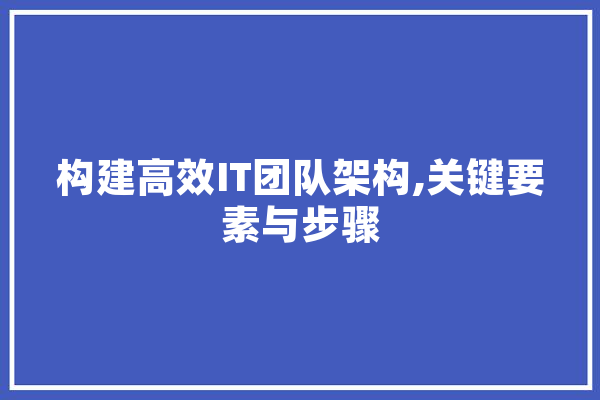 构建高效IT团队架构,关键要素与步骤
