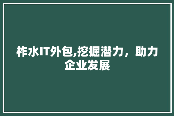 柞水IT外包,挖掘潜力，助力企业发展