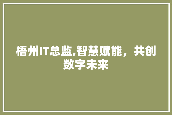 梧州IT总监,智慧赋能，共创数字未来