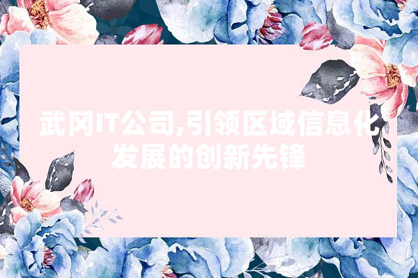 武冈IT公司,引领区域信息化发展的创新先锋
