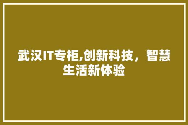 武汉IT专柜,创新科技，智慧生活新体验