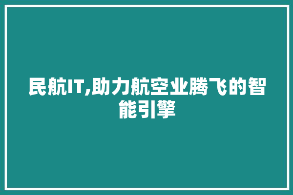 民航IT,助力航空业腾飞的智能引擎 AI快讯