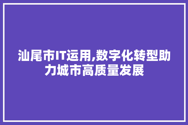 汕尾市IT运用,数字化转型助力城市高质量发展