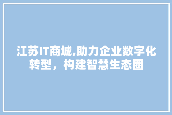 江苏IT商城,助力企业数字化转型，构建智慧生态圈