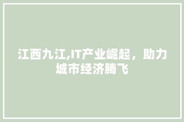江西九江,IT产业崛起，助力城市经济腾飞 AI快讯