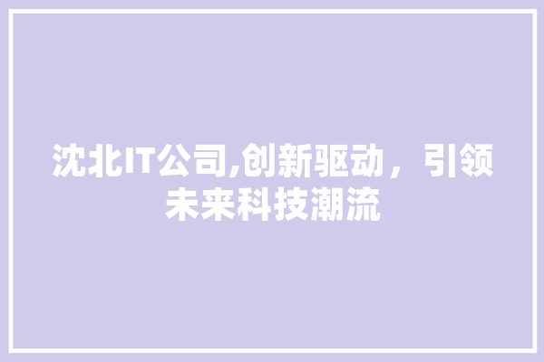 沈北IT公司,创新驱动，引领未来科技潮流