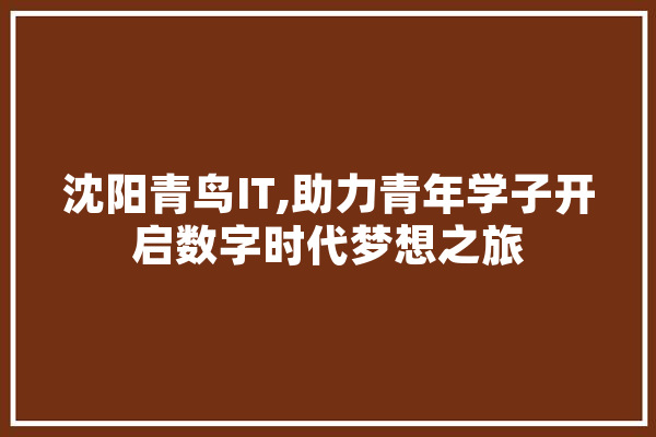 沈阳青鸟IT,助力青年学子开启数字时代梦想之旅