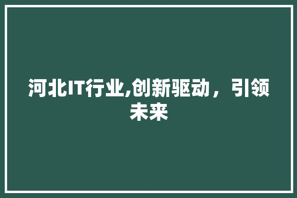 河北IT行业,创新驱动，引领未来