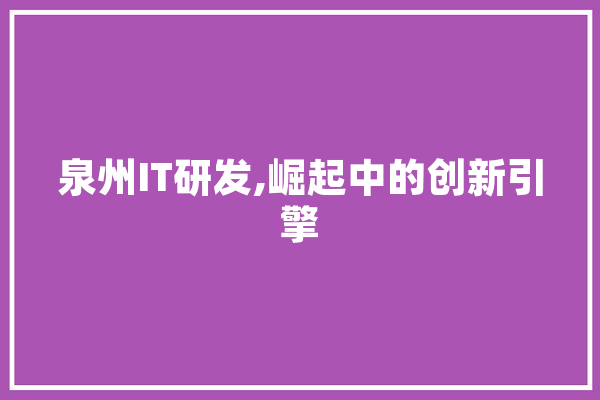 泉州IT研发,崛起中的创新引擎