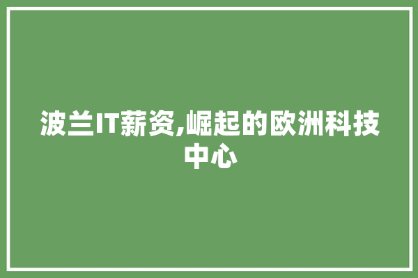 波兰IT薪资,崛起的欧洲科技中心