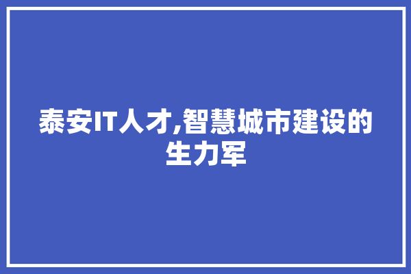 泰安IT人才,智慧城市建设的生力军 智能助手