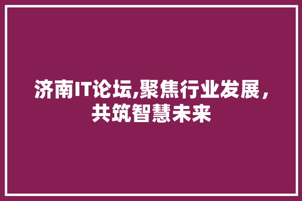 济南IT论坛,聚焦行业发展，共筑智慧未来