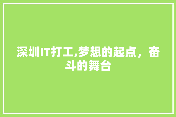 深圳IT打工,梦想的起点，奋斗的舞台