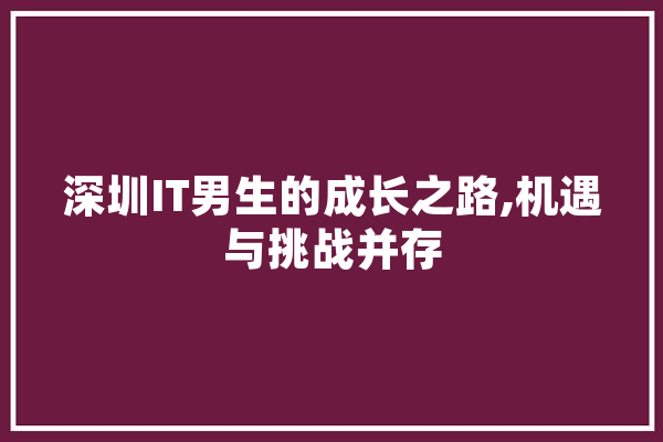 深圳IT男生的成长之路,机遇与挑战并存