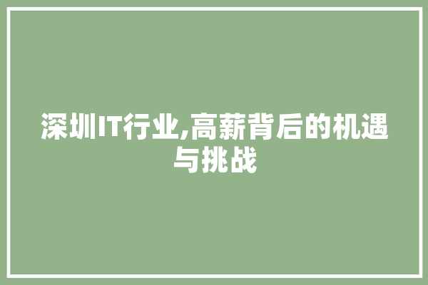 深圳IT行业,高薪背后的机遇与挑战