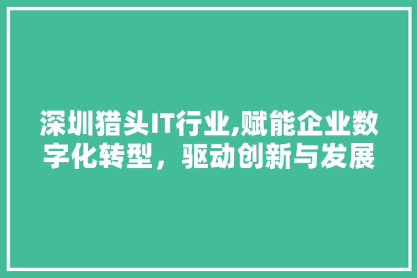 深圳猎头IT行业,赋能企业数字化转型，驱动创新与发展