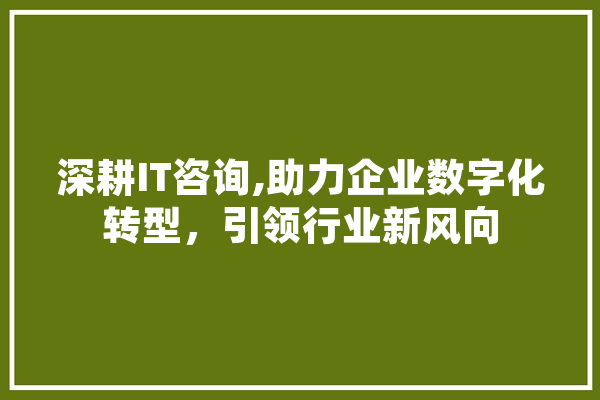 深耕IT咨询,助力企业数字化转型，引领行业新风向 科技快讯