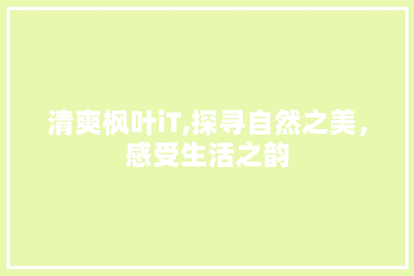 清爽枫叶iT,探寻自然之美，感受生活之韵 AI快讯