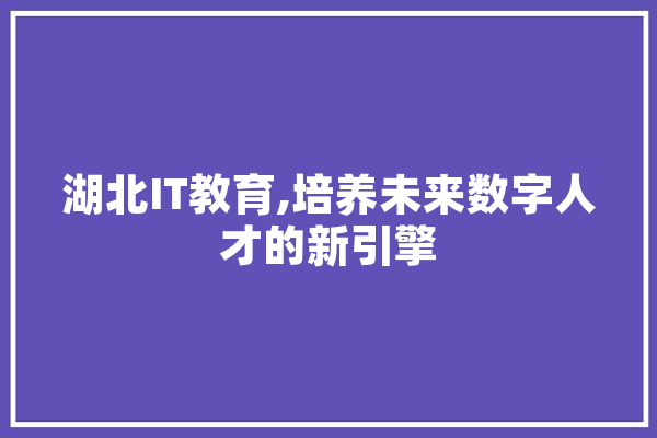 湖北IT教育,培养未来数字人才的新引擎