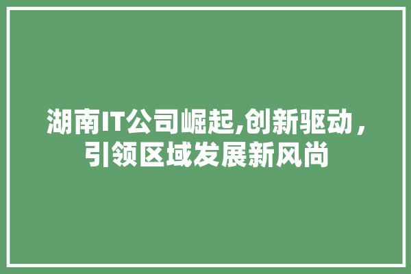 湖南IT公司崛起,创新驱动，引领区域发展新风尚