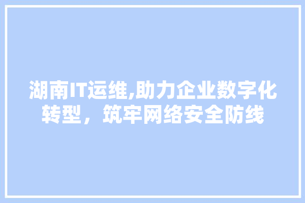 湖南IT运维,助力企业数字化转型，筑牢网络安全防线