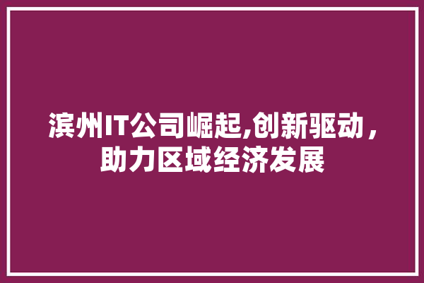 滨州IT公司崛起,创新驱动，助力区域经济发展
