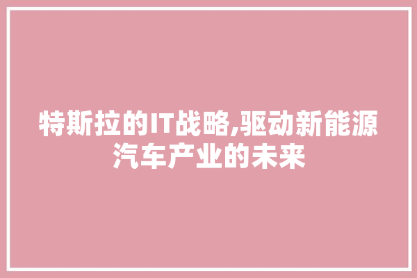 特斯拉的IT战略,驱动新能源汽车产业的未来