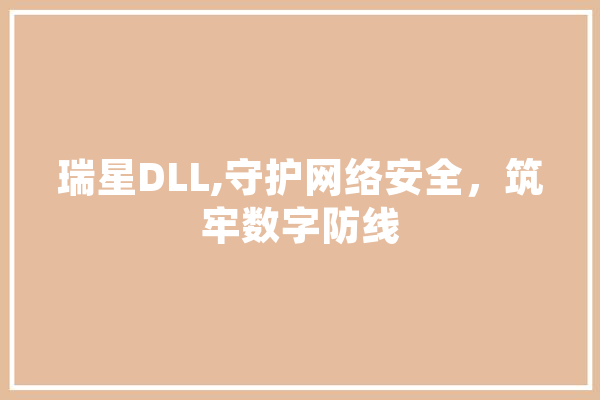 瑞星DLL,守护网络安全，筑牢数字防线 科技快讯