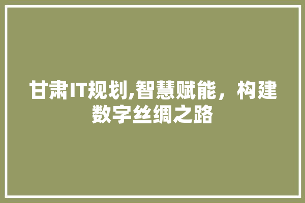 甘肃IT规划,智慧赋能，构建数字丝绸之路