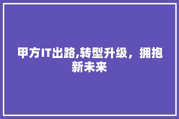 甲方IT出路,转型升级，拥抱新未来