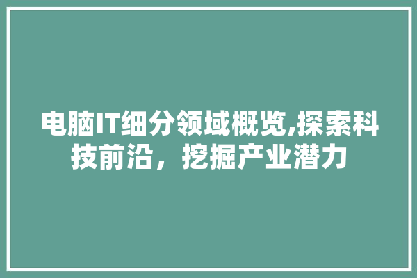 电脑IT细分领域概览,探索科技前沿，挖掘产业潜力