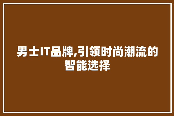 男士IT品牌,引领时尚潮流的智能选择