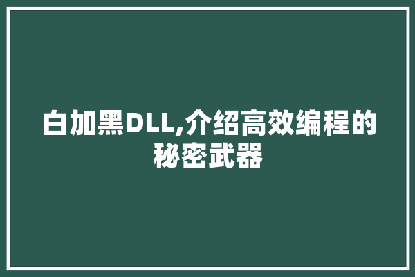 白加黑DLL,介绍高效编程的秘密武器