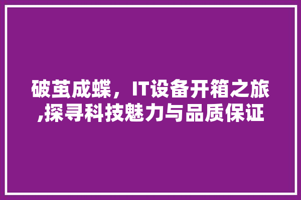 破茧成蝶，IT设备开箱之旅,探寻科技魅力与品质保证 文字写作