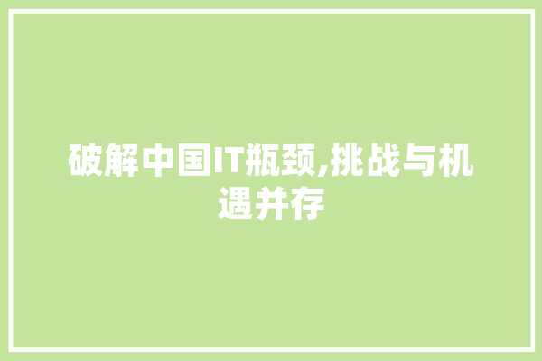 破解中国IT瓶颈,挑战与机遇并存