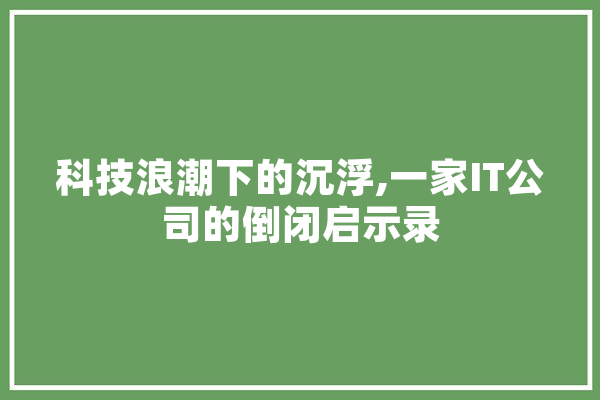 科技浪潮下的沉浮,一家IT公司的倒闭启示录