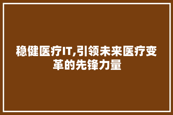 稳健医疗IT,引领未来医疗变革的先锋力量