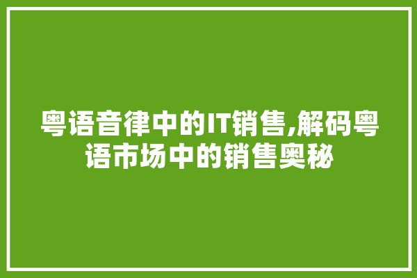 粤语音律中的IT销售,解码粤语市场中的销售奥秘