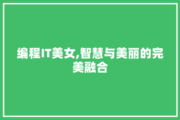 编程IT美女,智慧与美丽的完美融合