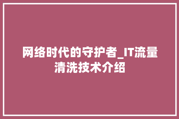 网络时代的守护者_IT流量清洗技术介绍