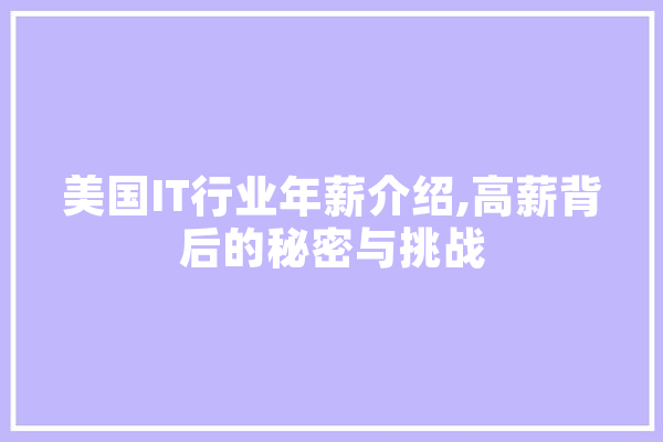 美国IT行业年薪介绍,高薪背后的秘密与挑战