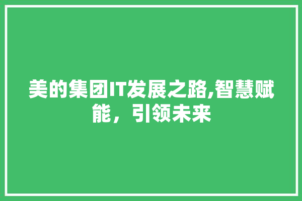 美的集团IT发展之路,智慧赋能，引领未来