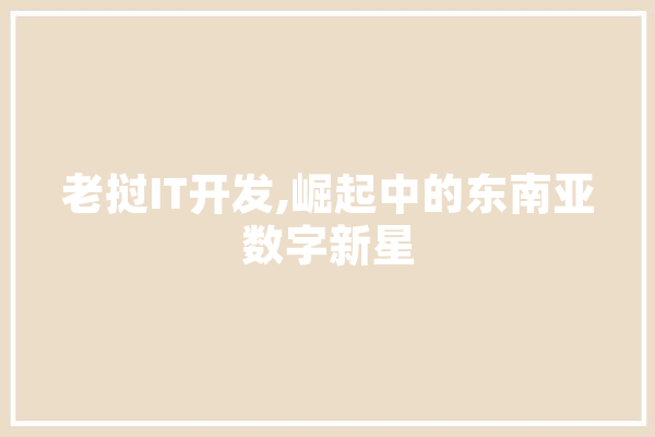 老挝IT开发,崛起中的东南亚数字新星