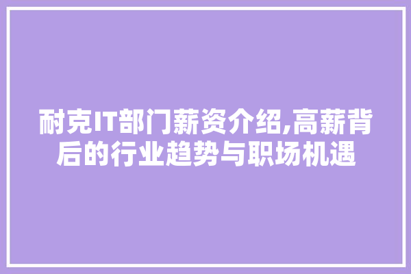 耐克IT部门薪资介绍,高薪背后的行业趋势与职场机遇